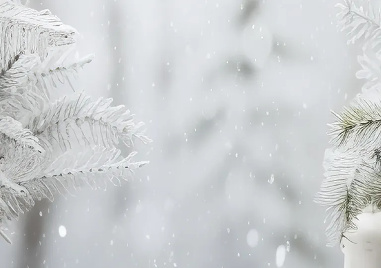 Winter Closure Background